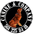 Canine and Company dog trainer