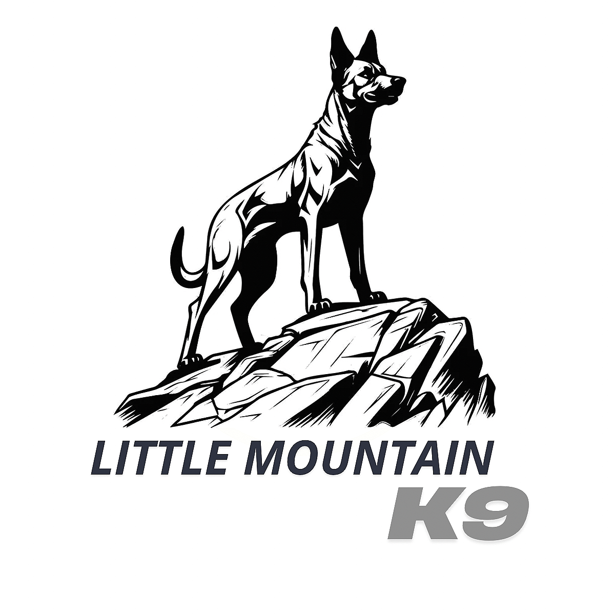 Little Mountain K9