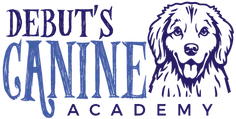 Debut’s Canine Academy