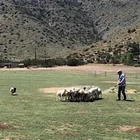 Drummond Ranch Inc.