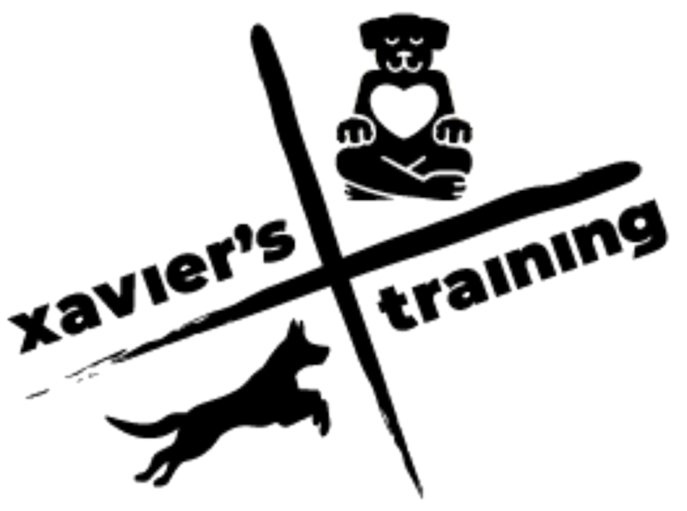Xaviers Training