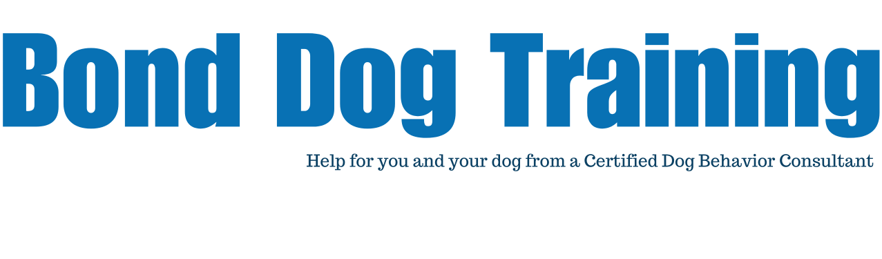 Bond Dog Training
