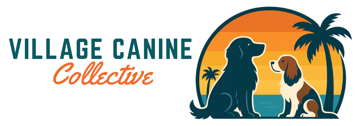 Village Canine Collective