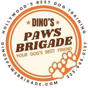 Dino’s Paws Brigade
