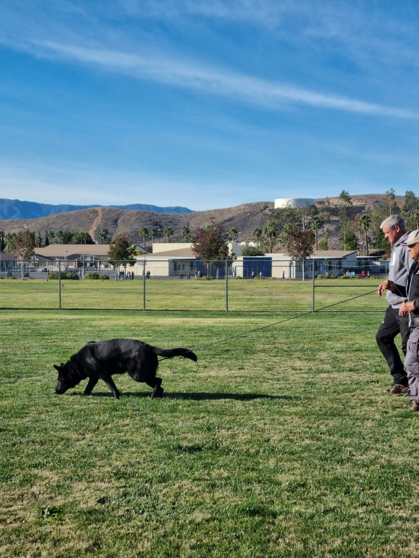 Golden State K-9 Training Academy