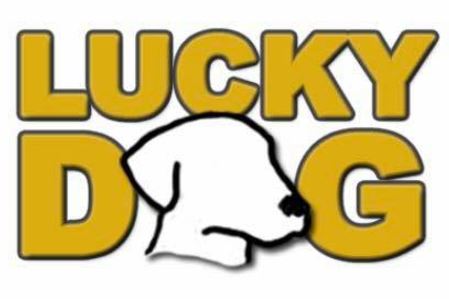 Lucky Dog Behavior & Training