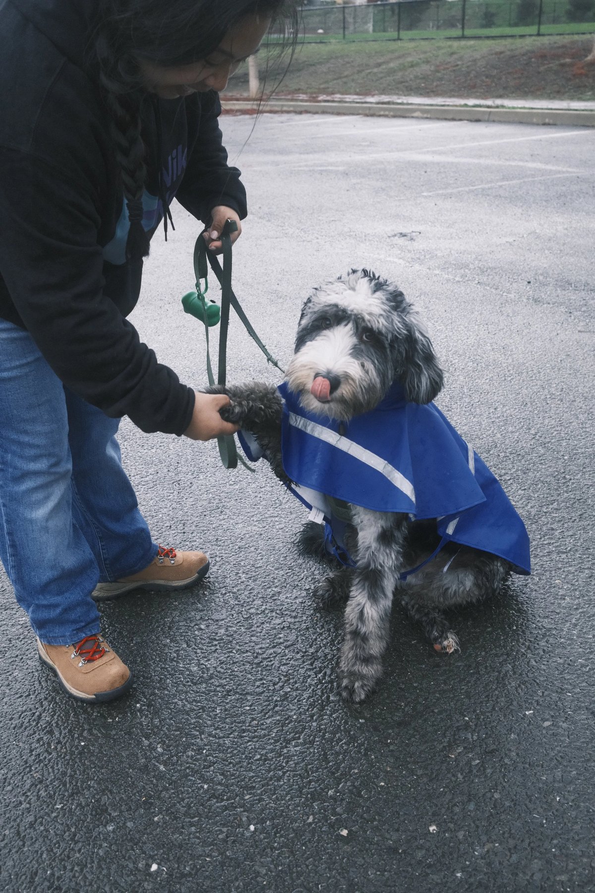 Nik Nok Pet Care LLC