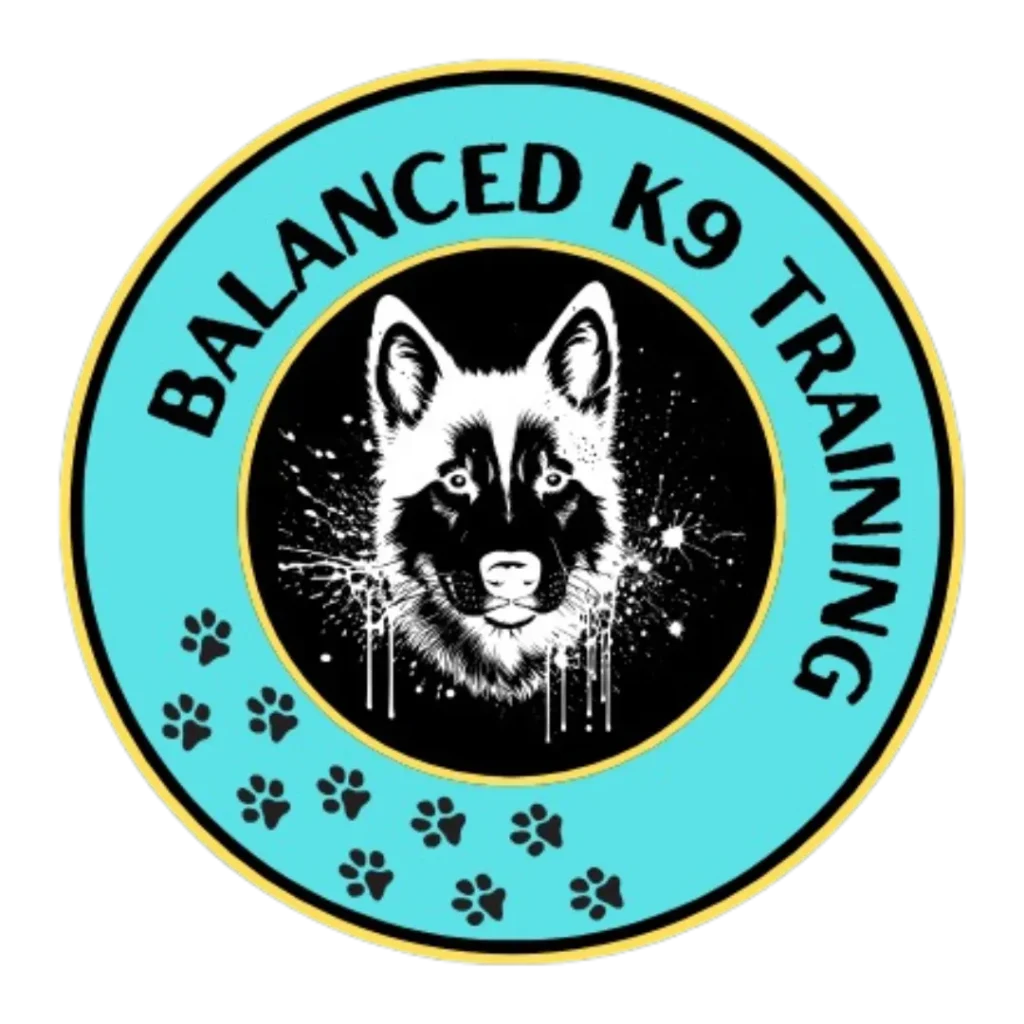Balanced K9 Training of DMV logo