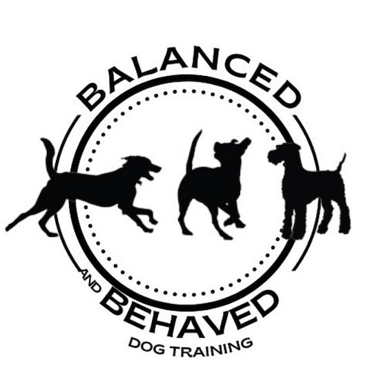 Balanced and Behaved Dog Training — dog trainer in Lynn, MA