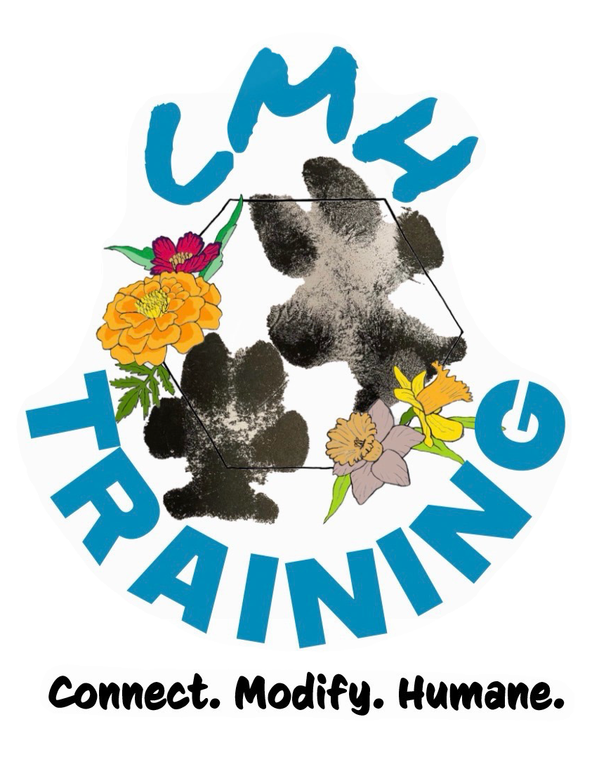CMH Training logo