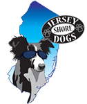 Jersey Shore Dogs Dog Training