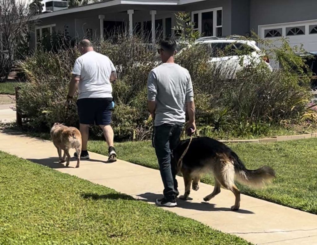 Brooks Family K9 — dog trainer in Temecula, CA