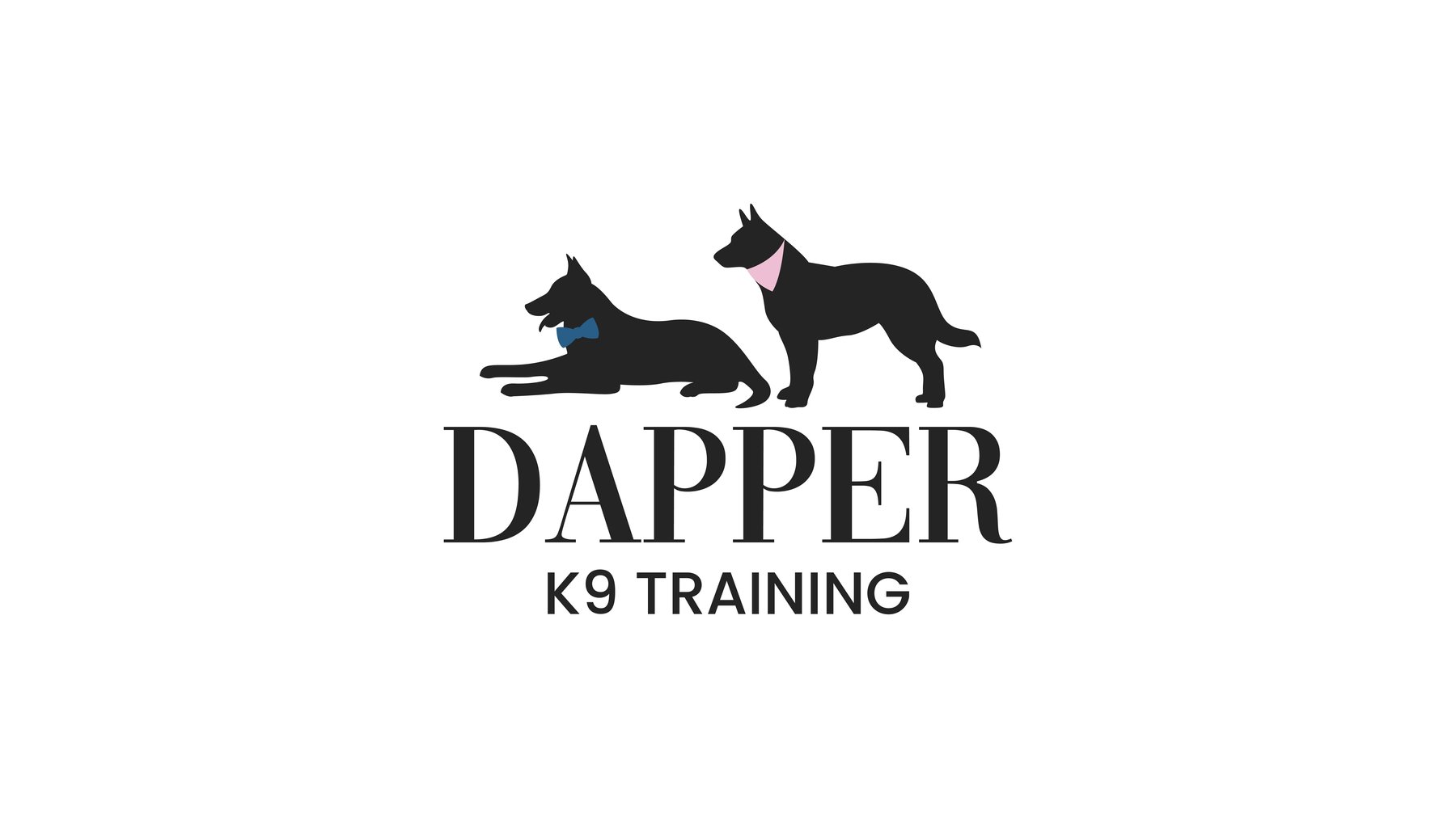 Dapper K9 Training