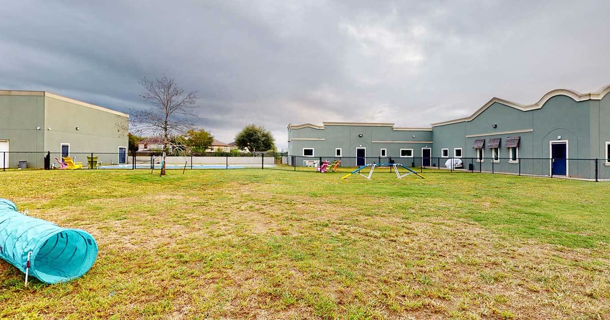 The Dog Academy