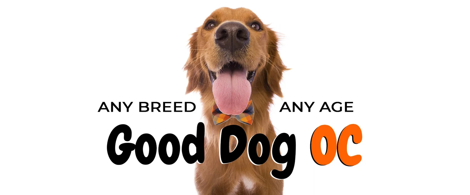 Good Dog OC