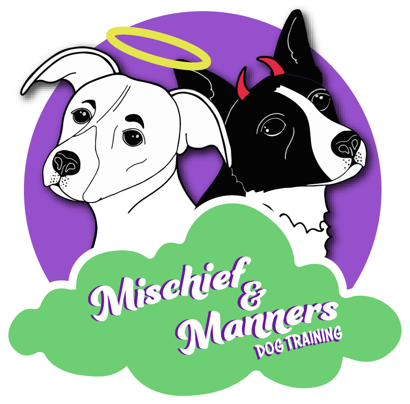 Mischief and Manners Dog Training — dog trainer in Frederick, MD