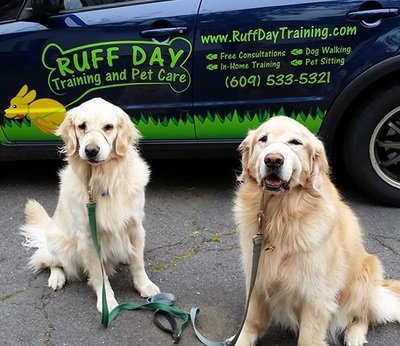 Ruff Day Training and Pet Care — dog trainer in Trenton, NJ