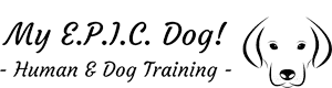 My EPIC Dog – Human and Dog Training