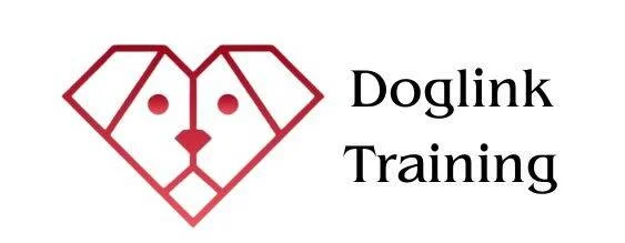 Doglink Training