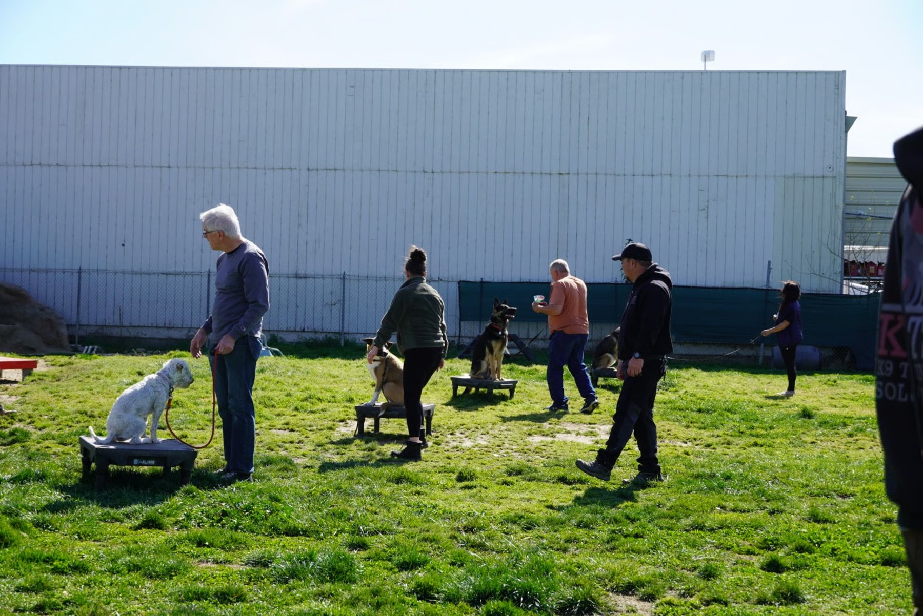K9 Training Solutions