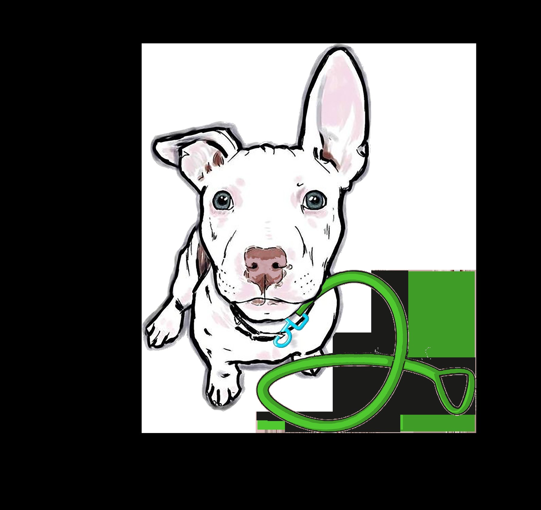 Dandy Dog — dog trainer in Boston, MA