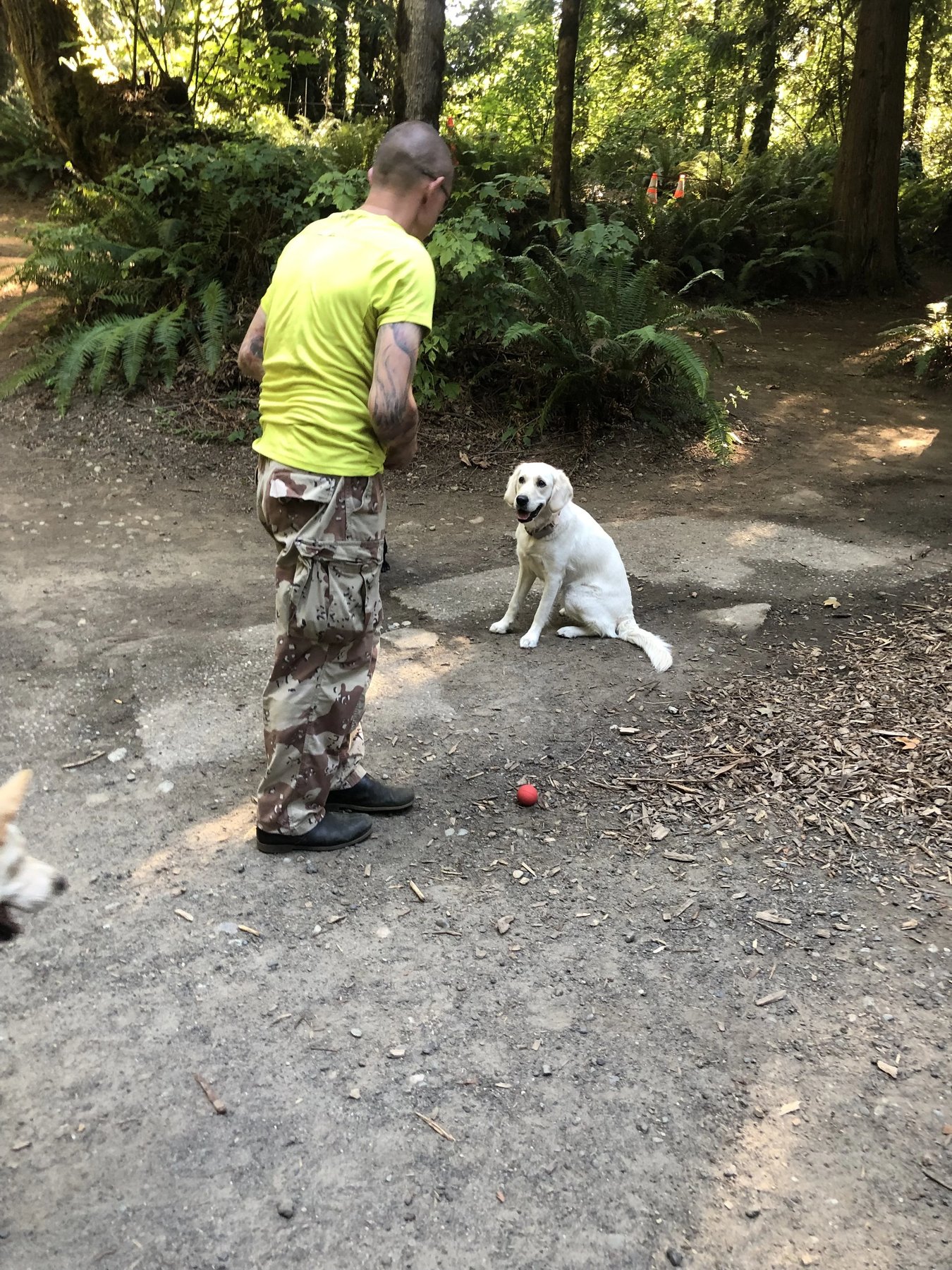 TM Dog Training Inc