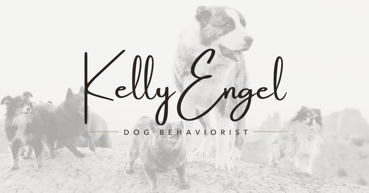 Kelly Engel | Dog Behaviorist and Training — dog trainer in Santa Fe, NM