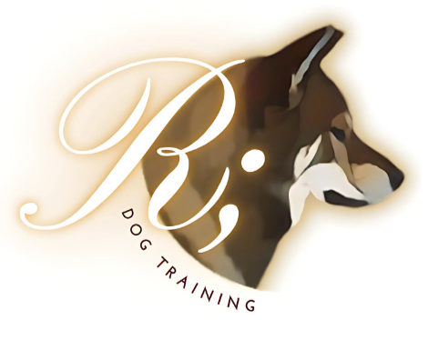 Re;Treat Rehabilitation & Dog Training