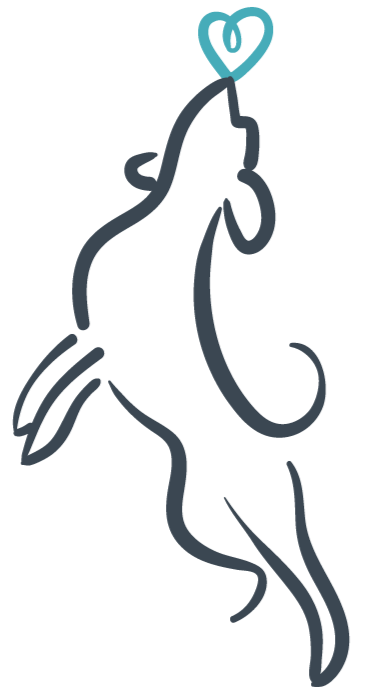 All In Stride Dog Training — dog trainer in Attleboro, MA