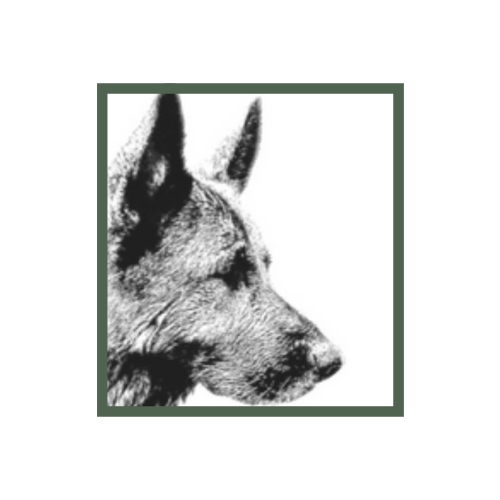 TMS K-9 Connections