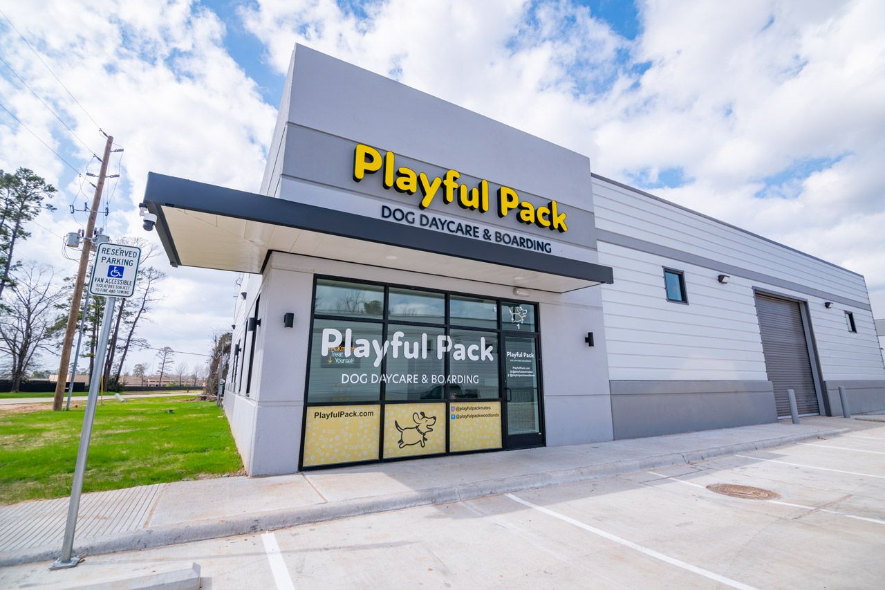 Playful Pack