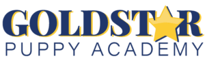 Goldstar Puppy Academy — dog trainer in Port St. Lucie, FL