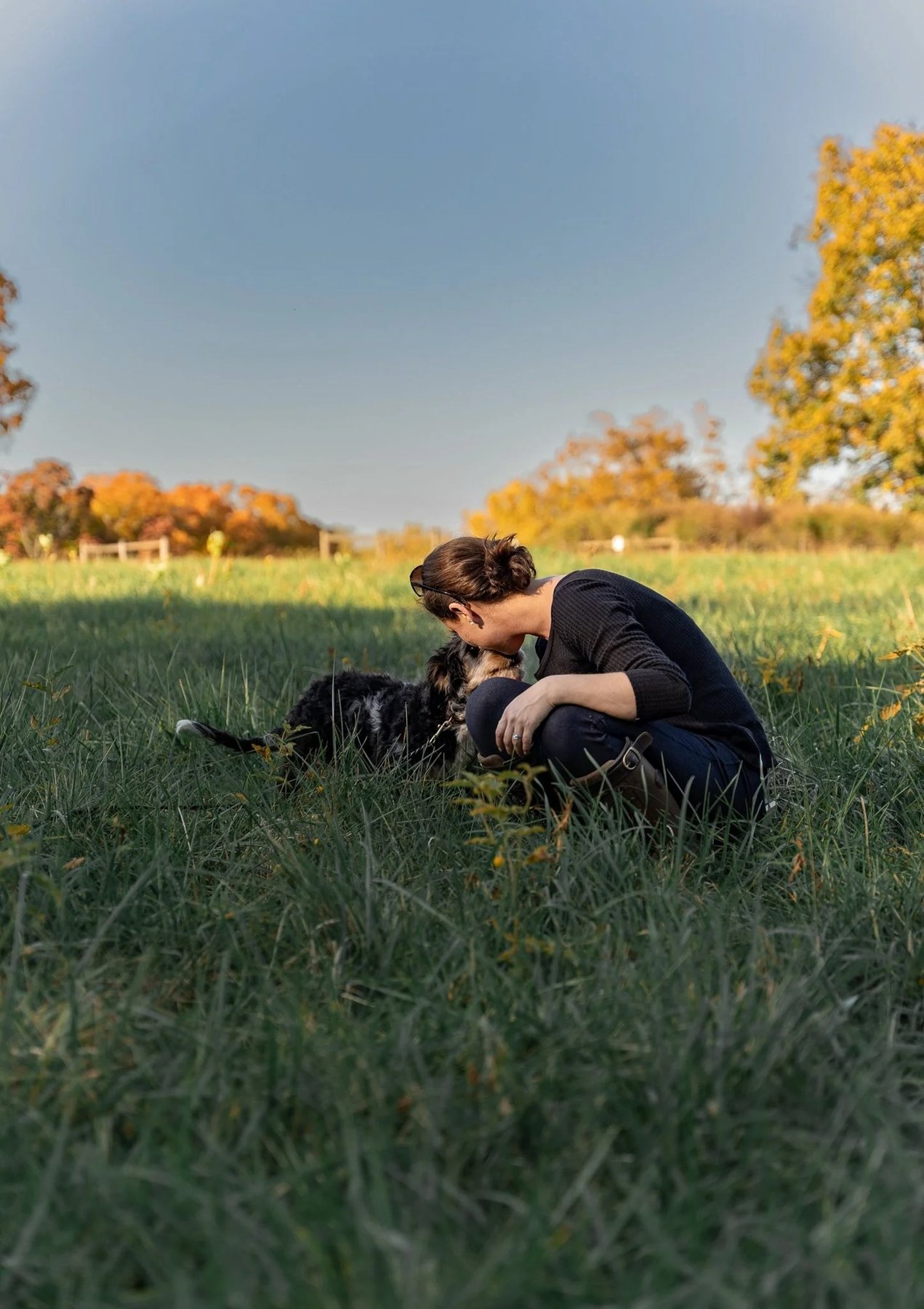 AJ Dog Training — dog trainer in White Plains & Westchester, NY