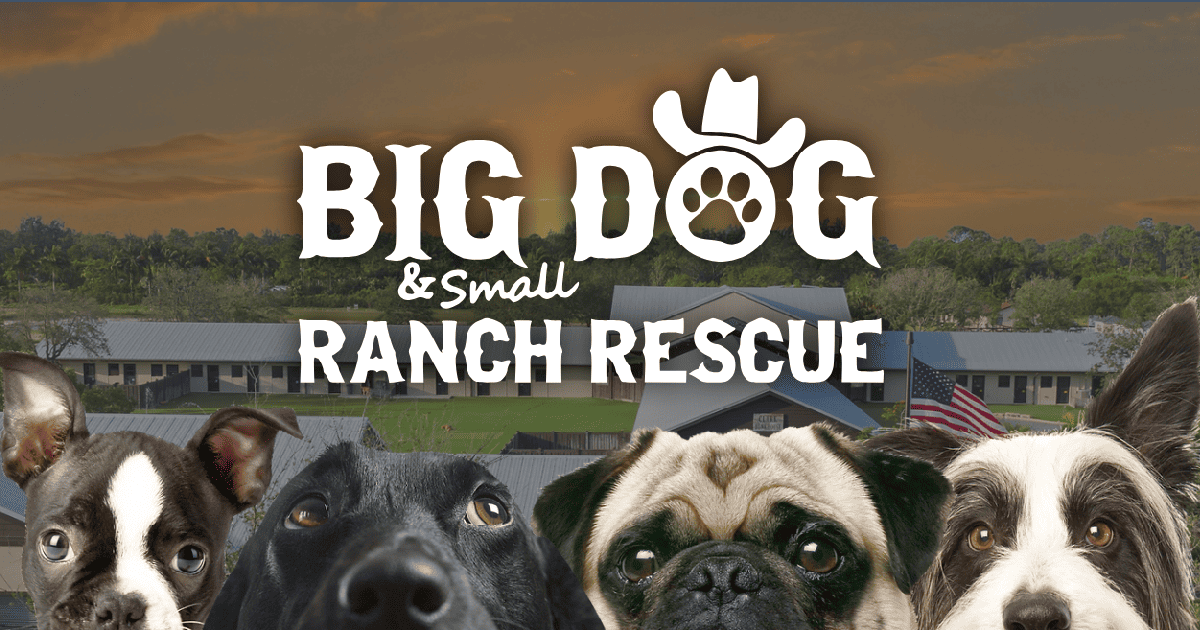 Big Dog Ranch Rescue