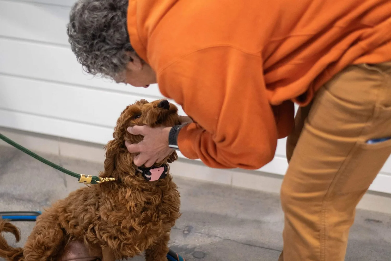 Paws and Possibilities – Maryland