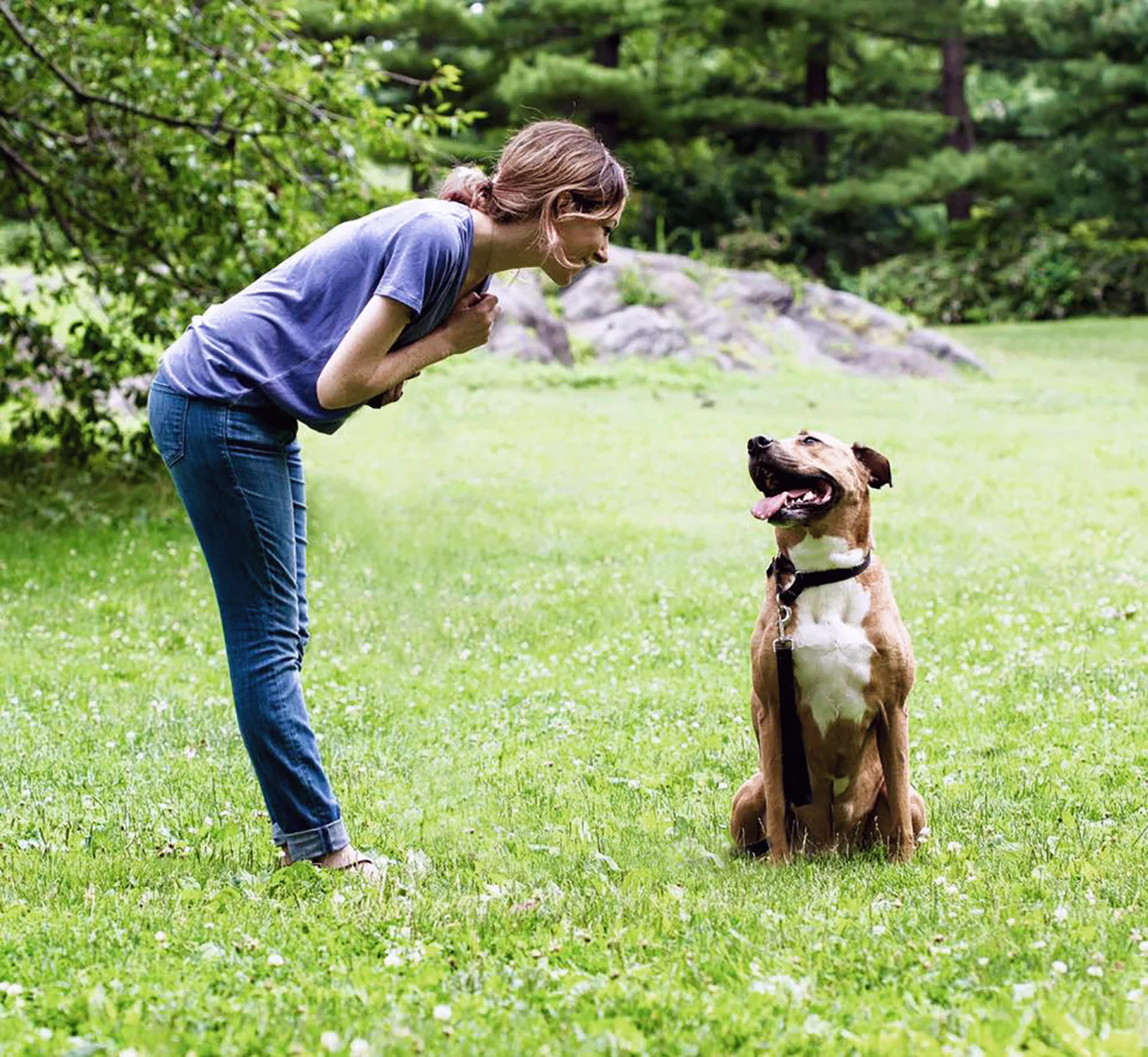 True Love Dog Training