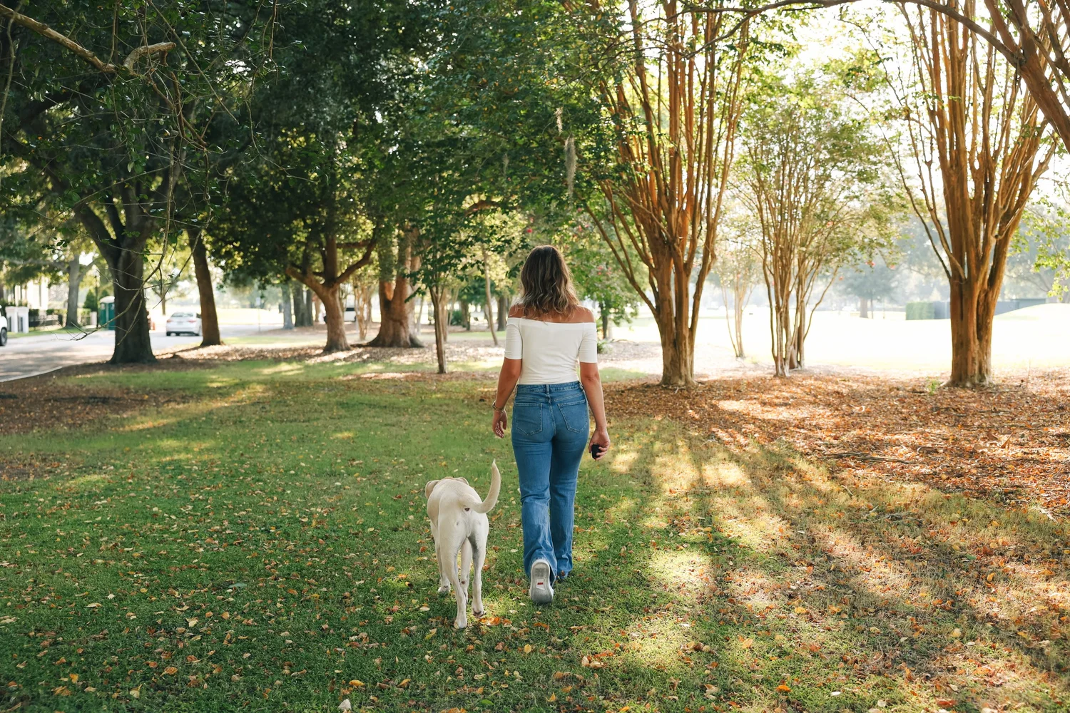 Sit Pretty Co. — dog trainer in Orlando, FL