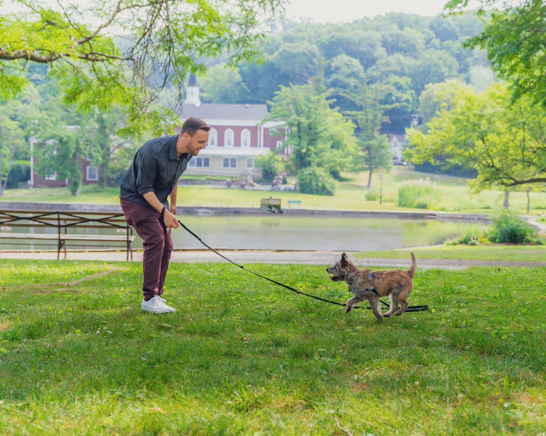 UpDog Pet Services — dog trainer in Nassau County, NY