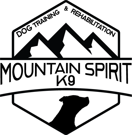 Mountain Spirit K9 Dog Training and Rehabilitation
