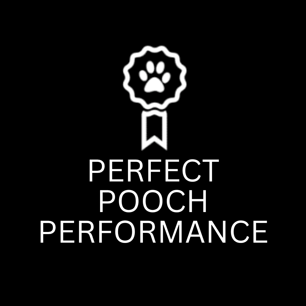 Perfect Pooch Performance — dog trainer in Santa Rosa, CA