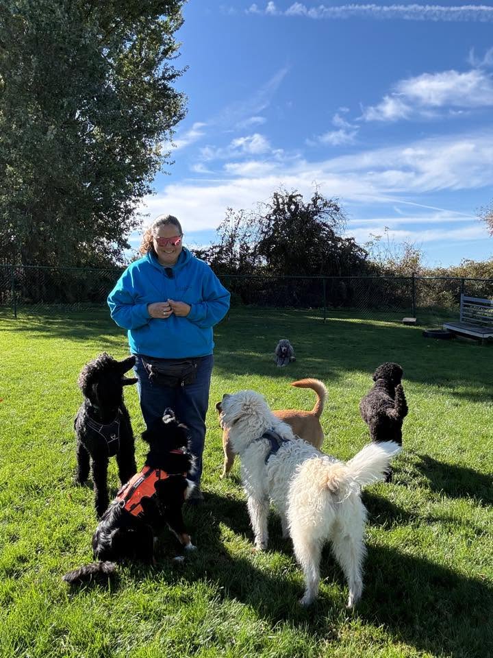 TPawsitive Dog Training