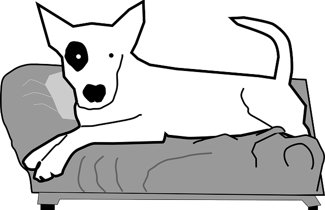 Pet Peeves Training, LLC