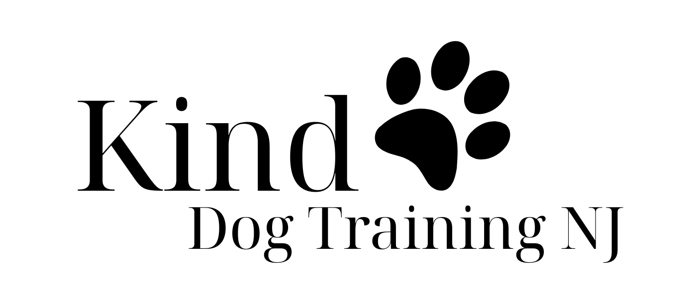 Kind Dog Training NJ