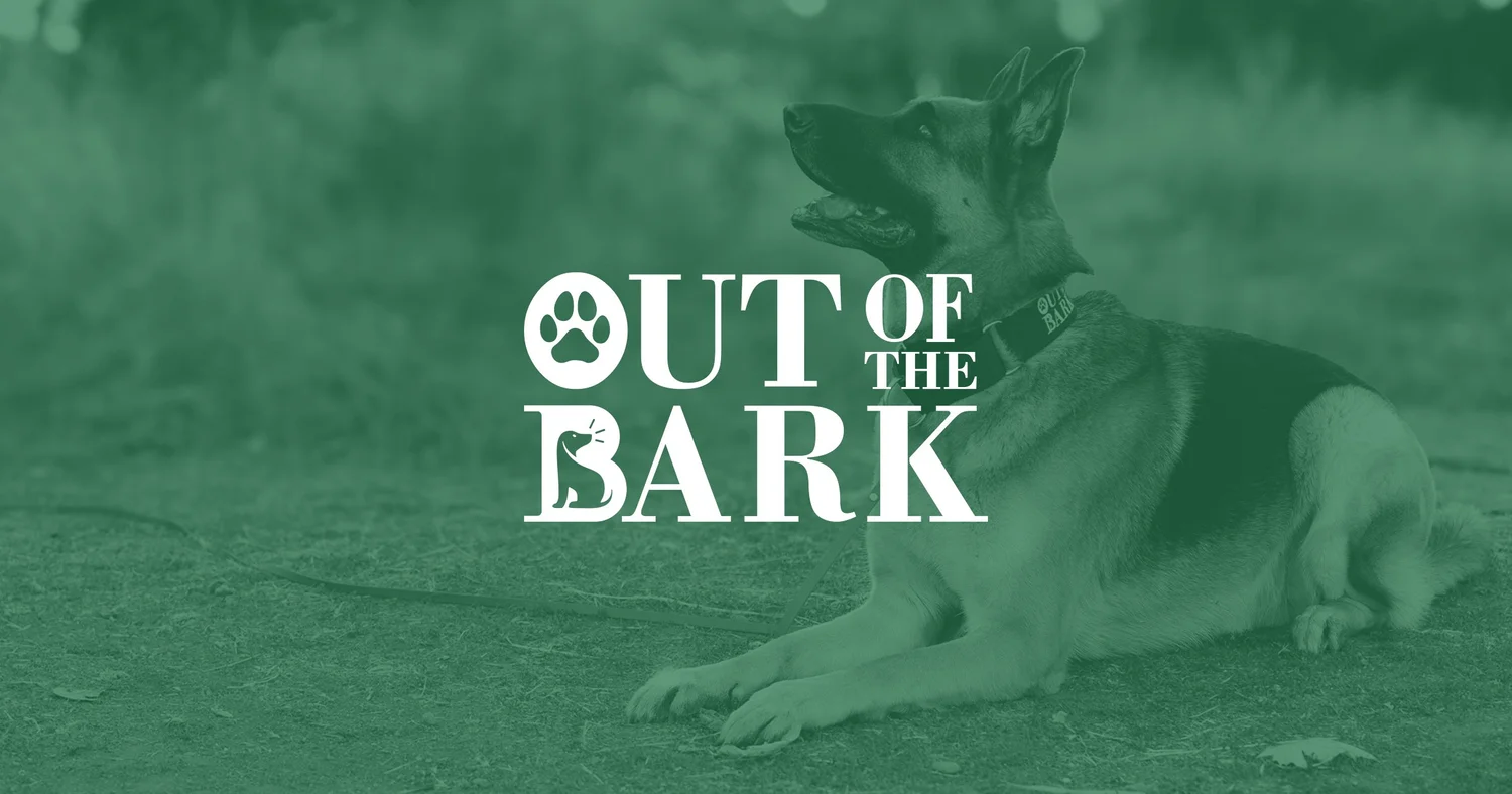 Out of the Bark – Dog & Puppy Training