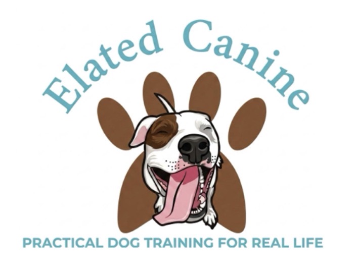 Elated Canine — dog trainer in Manchester, NH