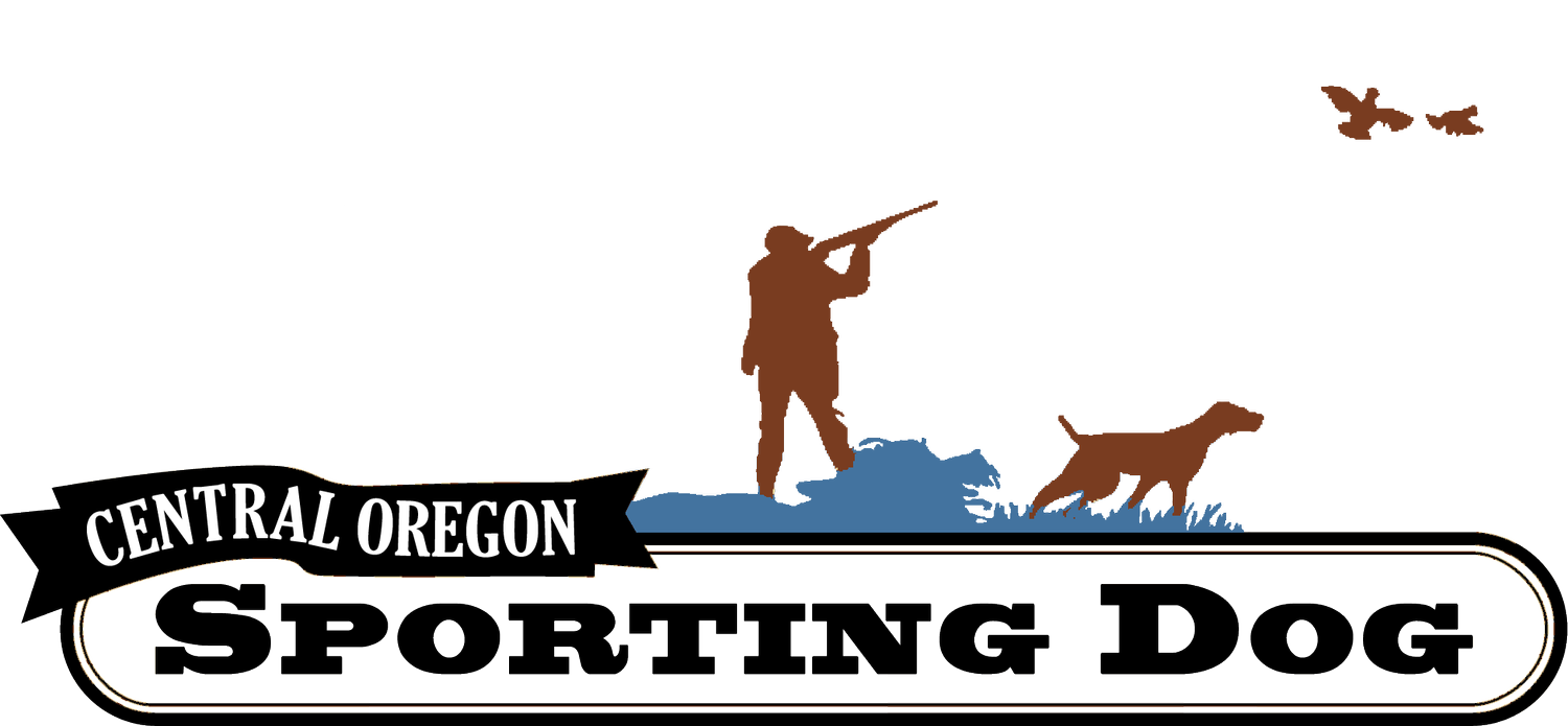 Central Oregon Sporting Dog logo