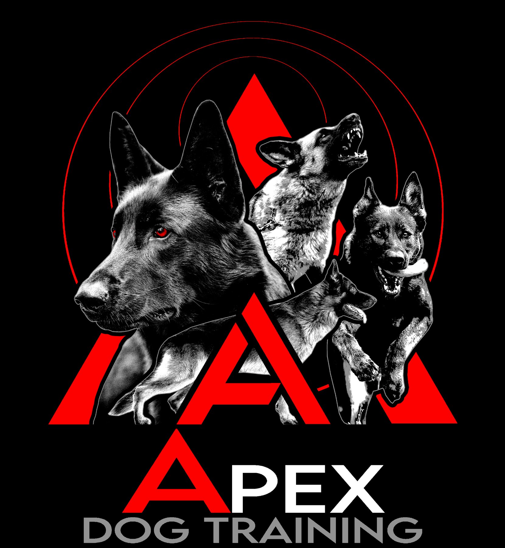 Apex dog training — dog trainer in San Bernardino, CA