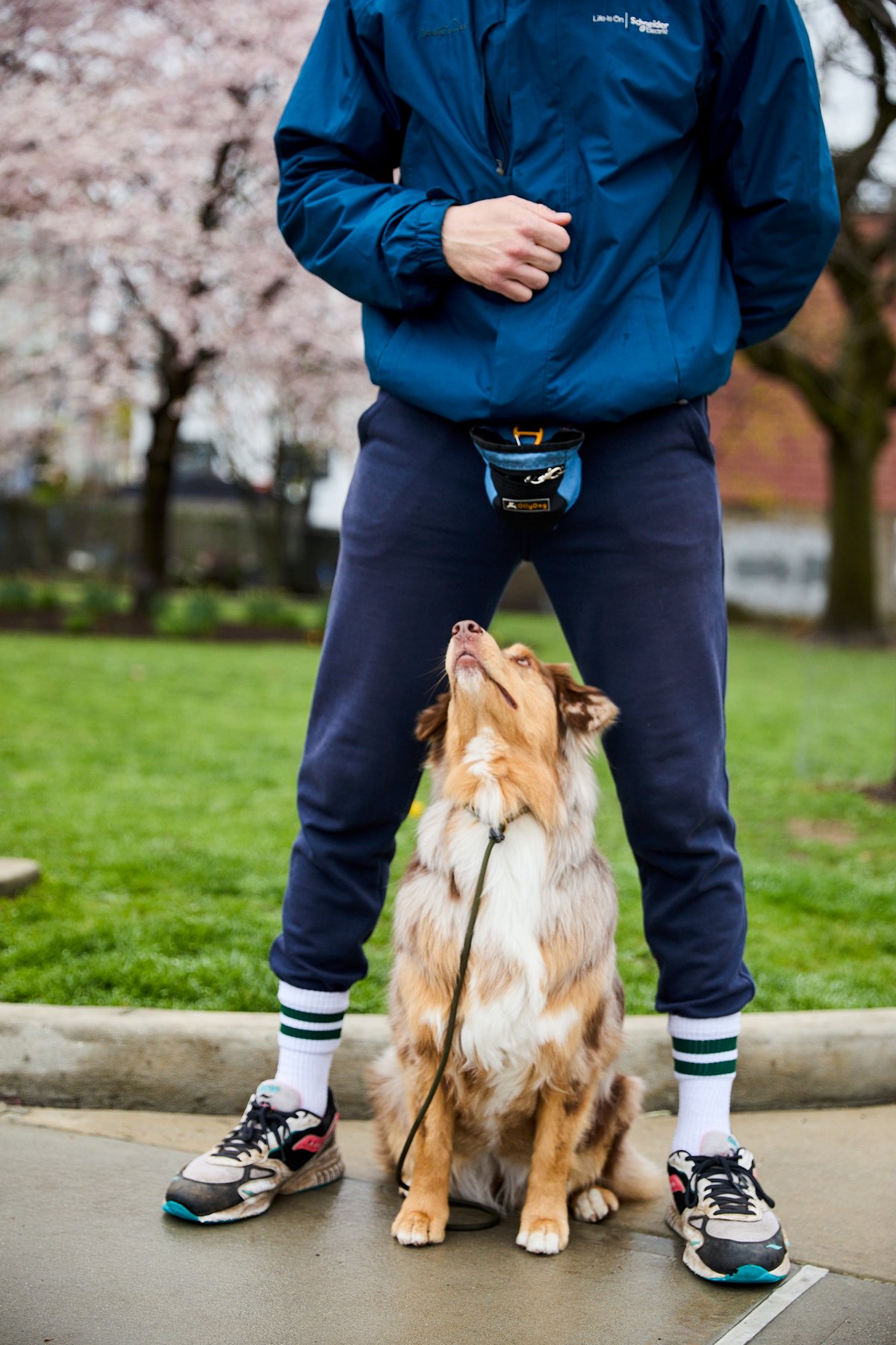 Rebound K9