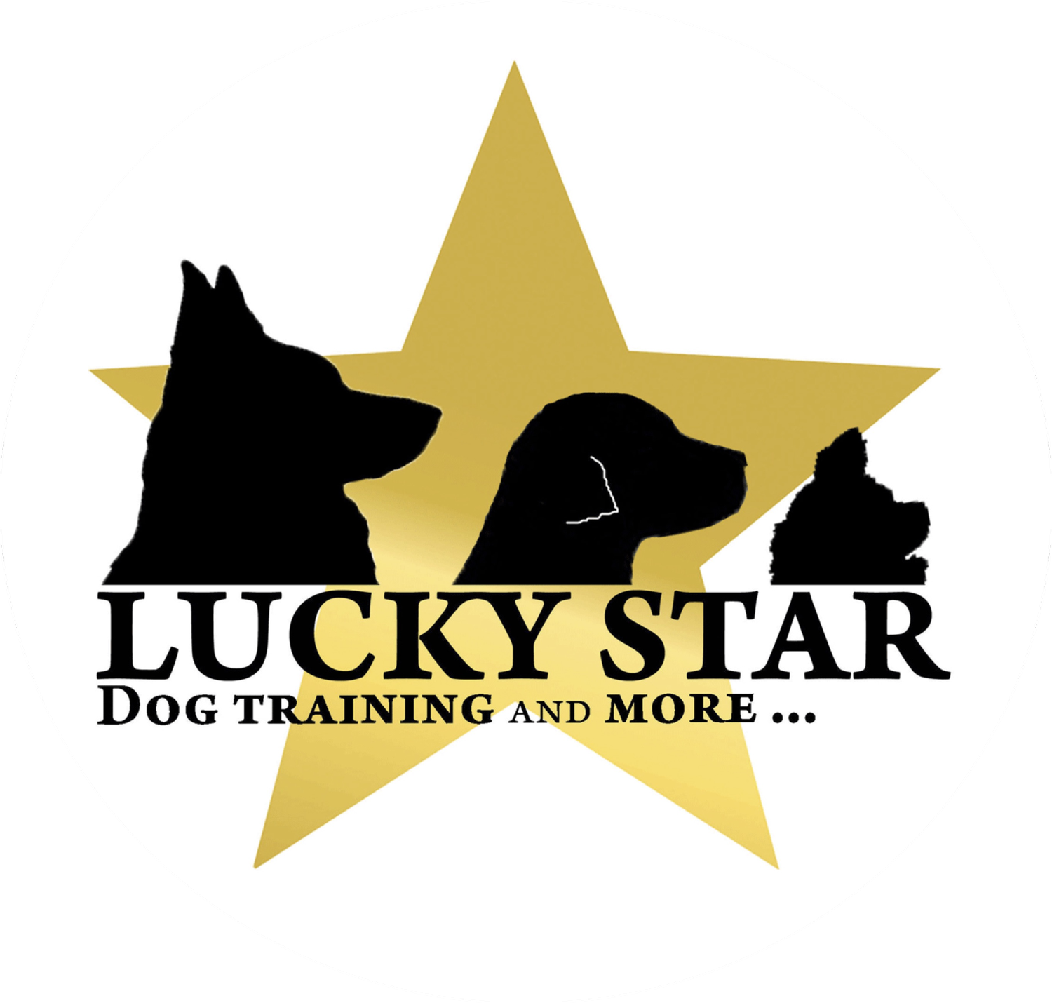 Lucky Star Dog Training logo