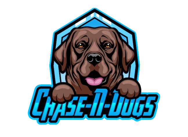 Chase-N-Dogs — dog trainer in Quincy, MA